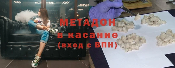 прущие грибы Медвежьегорск