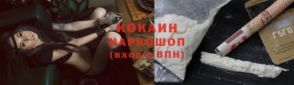 прущие грибы Медвежьегорск
