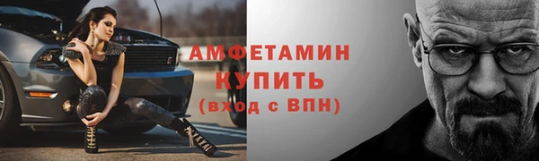 прущие грибы Медвежьегорск