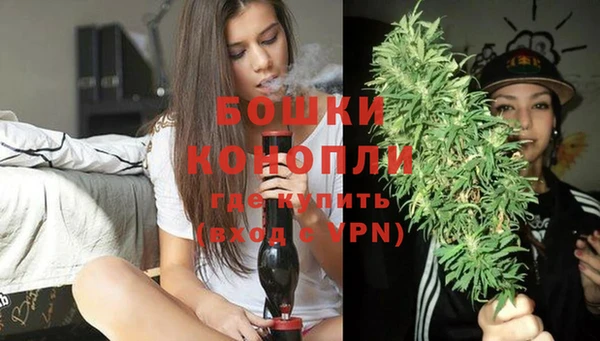 прущие грибы Медвежьегорск