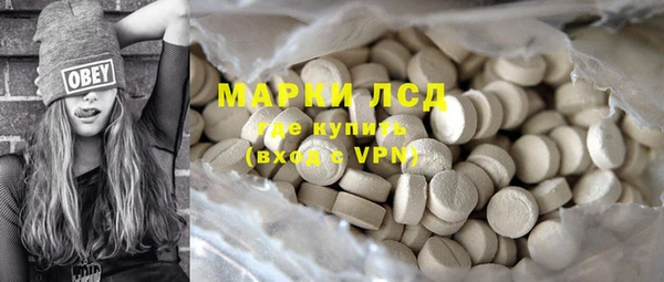 прущие грибы Медвежьегорск